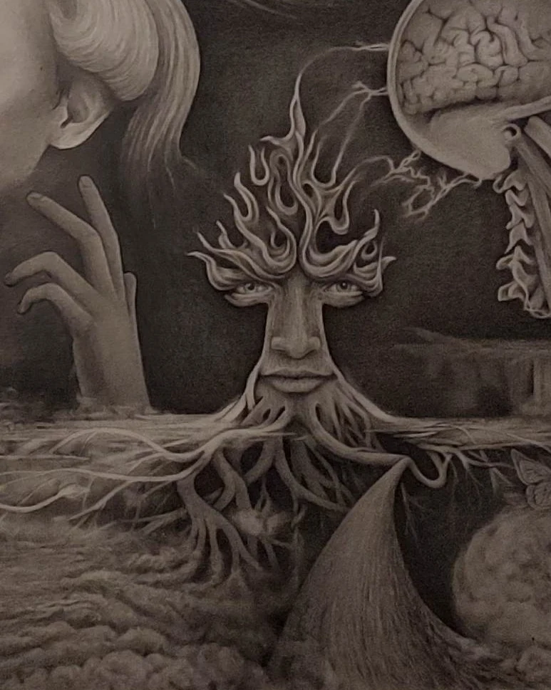 Gallery detail 2